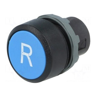 Switch: push-button | 22mm | Stabl.pos: 1 | blue | none | IP66 | flat | KPR1