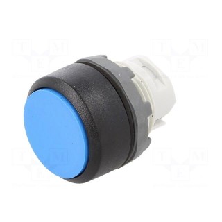 Switch: push-button | 22mm | Stabl.pos: 1 | blue | none | IP66 | flat | MPI