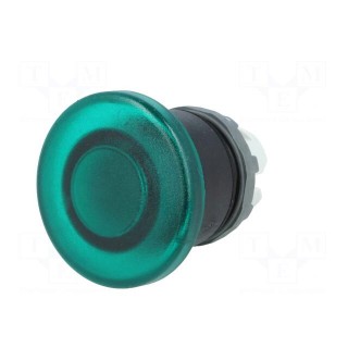 Switch: push-button | Stabl.pos: 1 | 22mm | green | Illumin: MLB-1 | IP66