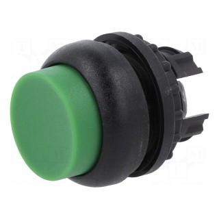 Switch: push-button | 22mm | Stabl.pos: 1 | green | none | IP67 | Pos: 2