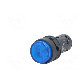 Switch: push-button | 22mm | Stabl.pos: 1 | NO | blue | LED | 24V | IP65