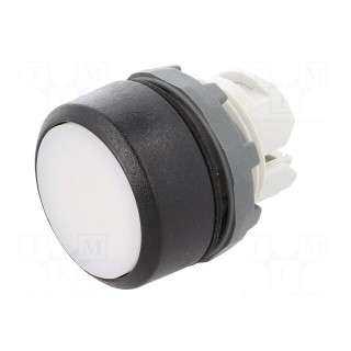 Switch: push-button | 22mm | Stabl.pos: 1 | white | none | IP66 | flat