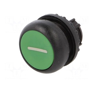 Switch: push-button | 22mm | Stabl.pos: 2 | green | none | IP67 | flat