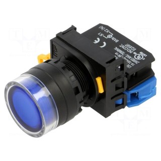 Switch: push-button | 22mm | Stabl.pos: 2 | NO | blue | LED | IP65 | Pos: 2