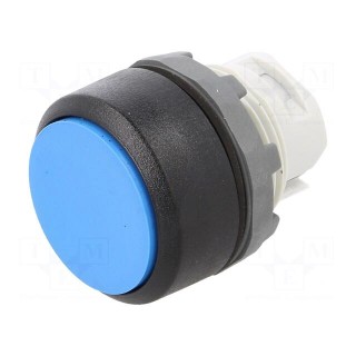 Switch: push-button | 22mm | Stabl.pos: 1 | blue | none | IP66 | flat | MPI