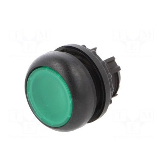 Switch: push-button | 22mm | Stabl.pos: 1 | green | M22-FLED,M22-LED