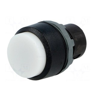 Switch: push-button | Stabl.pos: 1 | 22mm | white | Illumin: none | IP66