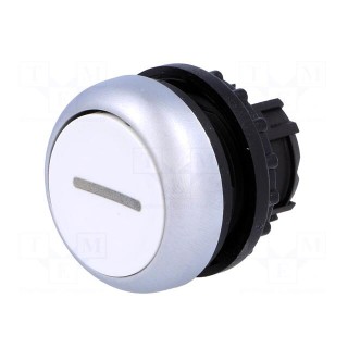 Switch: push-button | Stabl.pos: 1 | 22mm | white | Illumin: none | IP67