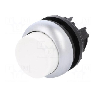 Switch: push-button | Stabl.pos: 1 | 22mm | white | Illumin: none | IP67