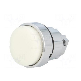 Switch: push-button | Stabl.pos: 1 | 22mm | white | Illumin: ZBV6 | IP66