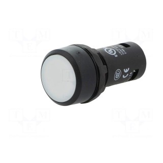 Switch: push-button | 22mm | Stabl.pos: 1 | NO | white | none | 1A/240VAC
