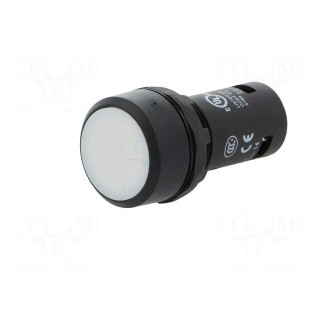 Switch: push-button | Stabl.pos: 1 | NO | 1A/240VAC | 0.3A/24VDC | 22mm