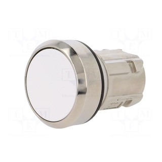 Switch: push-button | Stabl.pos: 2 | 22mm | white | Illumin: none | IP67