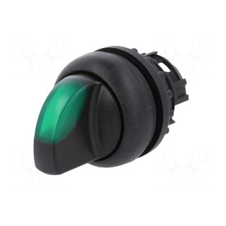 Switch: rotary | 22mm | Stabl.pos: 2 | green | M22-FLED,M22-LED | IP67