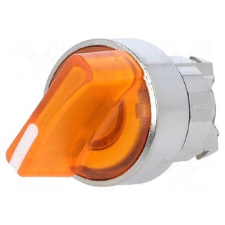 Switch: rotary | 22mm | Stabl.pos: 2 | orange | LED | IP66 | prominent