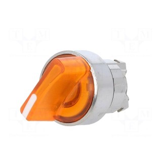 Switch: rotary | 22mm | Stabl.pos: 2 | orange | LED | IP66 | prominent