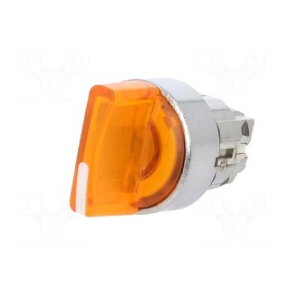 Switch: rotary | 22mm | Stabl.pos: 1 | orange | LED | IP66 | prominent