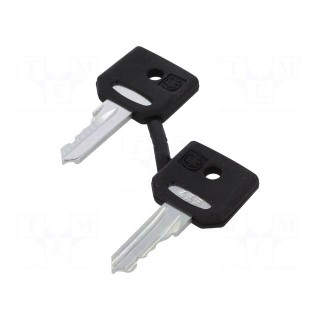 Switch: rotary with key | Stabl.pos: 2 | NO | 3A/240VAC | 0.55A/125VDC