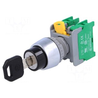Switch: rotary with key | Stabl.pos: 3 | NO x2 | 3A/230VAC | 22mm | IP65