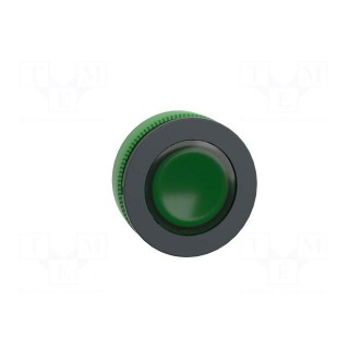 Switch: push-button | 30mm | Stabl.pos: 1 | green | IP66 | witout symbol