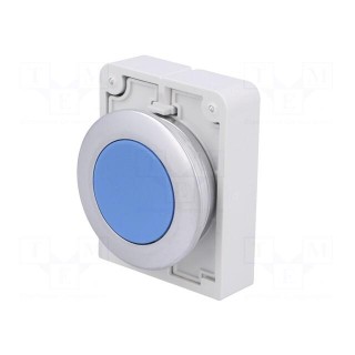 Switch: push-button | Stabl.pos: 1 | 30mm | blue | none | IP67 | Pos: 2