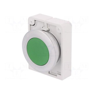 Switch: push-button | Stabl.pos: 2 | 30mm | green | none | IP67 | Pos: 2