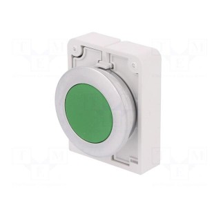Switch: push-button | Stabl.pos: 2 | 30mm | green | none | IP67 | Pos: 2
