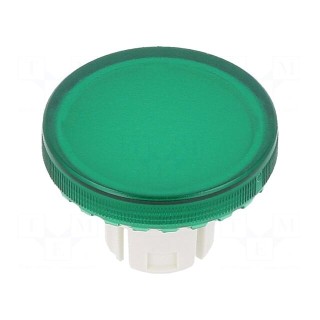 Actuator lens | 22mm | 61 | transparent,green | plastic | Ø19.7mm