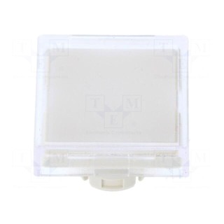 Actuator lens | 22mm | 61 | transparent | plastic | 18x18mm