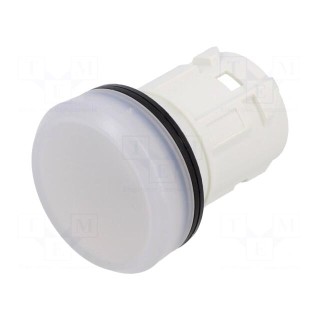 Control lamp | 22mm | 45 | -25÷70°C | Ø22.3mm | IP66,IP67,IP69K | white
