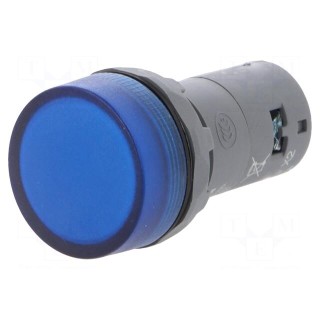 Control lamp | 22mm | CL2 | -25÷70°C | Illumin: LED | Ø22mm | 230VAC