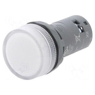 Control lamp | 22mm | CL2 | -25÷70°C | Illumin: LED | Ø22mm | 48÷60VAC