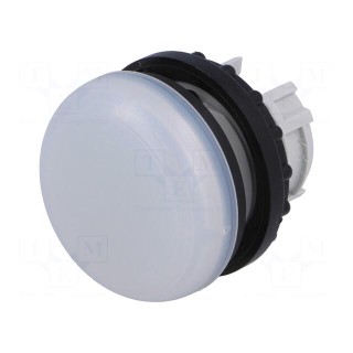 Control lamp | 22mm | RMQ-Titan | -25÷70°C | Illumin: M22-LED | Ø22.5mm