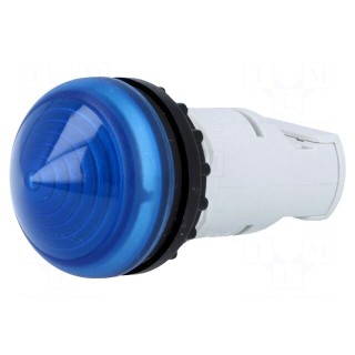 Control lamp | 22mm | RMQ-Titan | -25÷70°C | Ø22.5mm | IP67 | blue