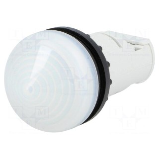 Control lamp | 22mm | RMQ-Titan | -25÷70°C | Ø22.5mm | IP67 | white