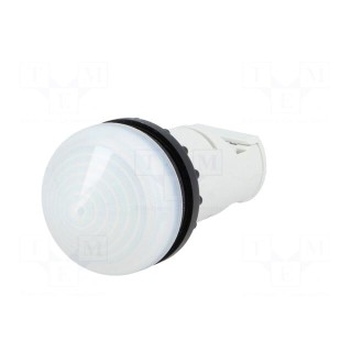 Control lamp | 22mm | RMQ-Titan | -25÷70°C | Ø22.5mm | IP67 | white