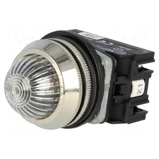 Control lamp | 30mm | NEF30 | -15÷30°C | Illumin: LED,filament lamp