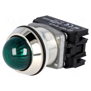 Control lamp | 30mm | NEF30 | -15÷30°C | Illumin: LED | Ø30.5mm | IP20