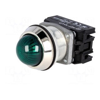 Control lamp | 30mm | NEF30 | -15÷30°C | Illumin: LED | Ø30.5mm | IP20