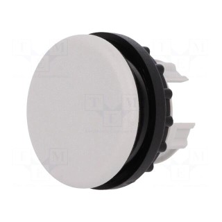 Plug | 22mm | RMQ-Titan