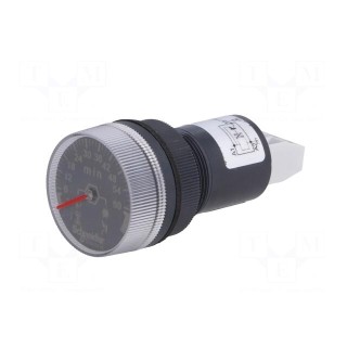 Timer | 22mm | Harmony XB5 | -20÷60°C | IP65 | 24VDC | 22mm