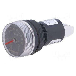 Timer | 22mm | Harmony XB5 | -20÷60°C | IP65 | 100÷240VAC | 100÷240VDC