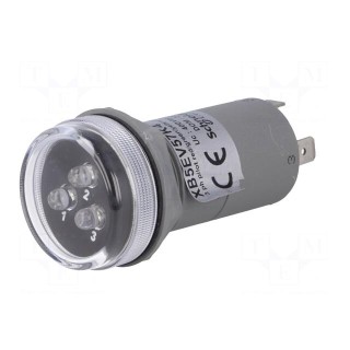 Voltage indicator | 30mm | Harmony XB5 | -30÷70°C | IP55 | 30mm
