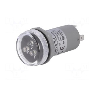 Voltage indicator | 30mm | Harmony XB5 | -30÷70°C | IP55 | white | 30mm