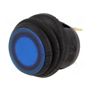 ROCKER | SPST | Pos: 2 | ON-OFF | 10A/250VAC | blue | IP65 | neon lamp | 50mΩ