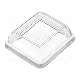 Switch accessories: cover | Body: transparent | 24x21mm