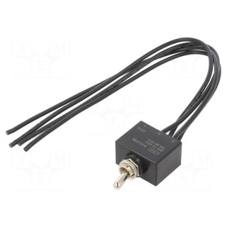 Switch: toggle | Pos: 2 | DPST | ON-OFF | 25A/12VDC | Leads: leads 305mm