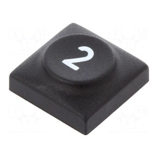 Button | Body: anthracite | Button marking: 2 | 1451 | square