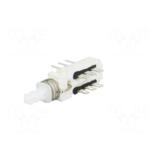 Switch: push-button | Pos: 2 | DPDT | 0.5A/125VAC | 0.5A/30VDC | ON-ON