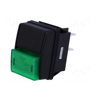Switch: push-button | Pos: 2 | DPST | 10A/250VAC | OFF-ON | green
